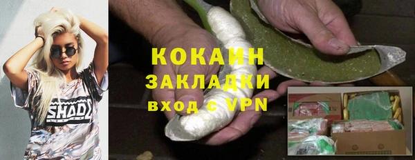 шишки Гусь-Хрустальный