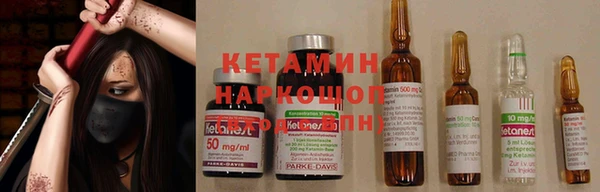 шишки Гусь-Хрустальный