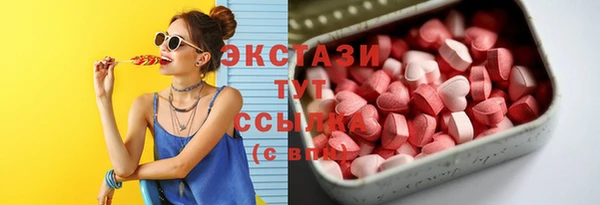 шишки Гусь-Хрустальный