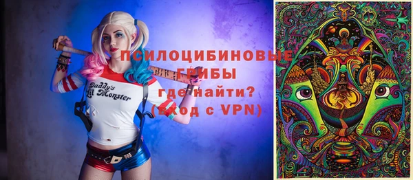 шишки Гусь-Хрустальный