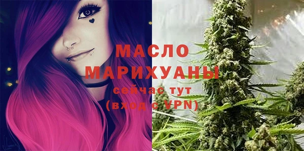 шишки Гусь-Хрустальный