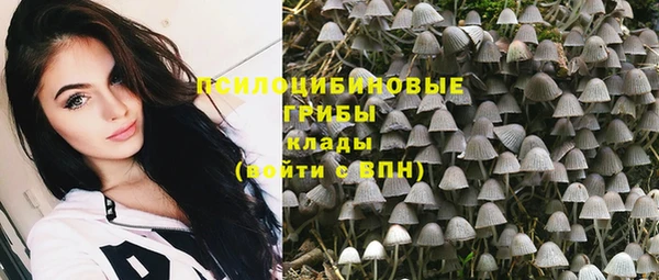 спиды Дмитровск