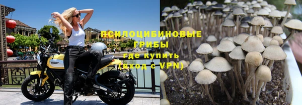 синтетический гашиш Дмитриев