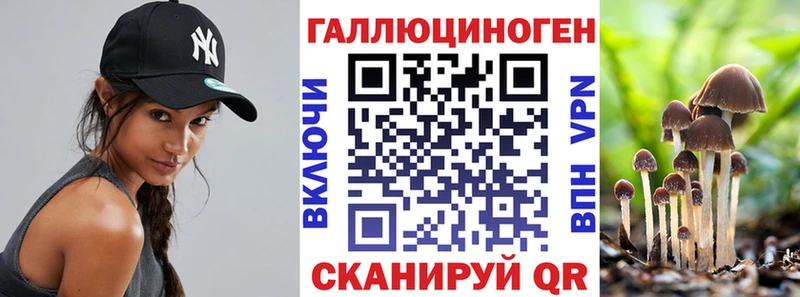 Купить где  Карпинск  Псилоцибиновые грибы Magic Shrooms 